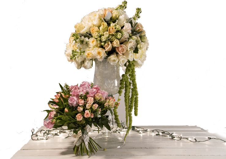 Click Flowers Usa Buy Flowers Online Direct From Ecuadorian Farms